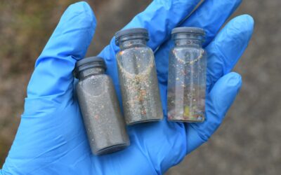 Microplastics and human health: A growing public health concern
